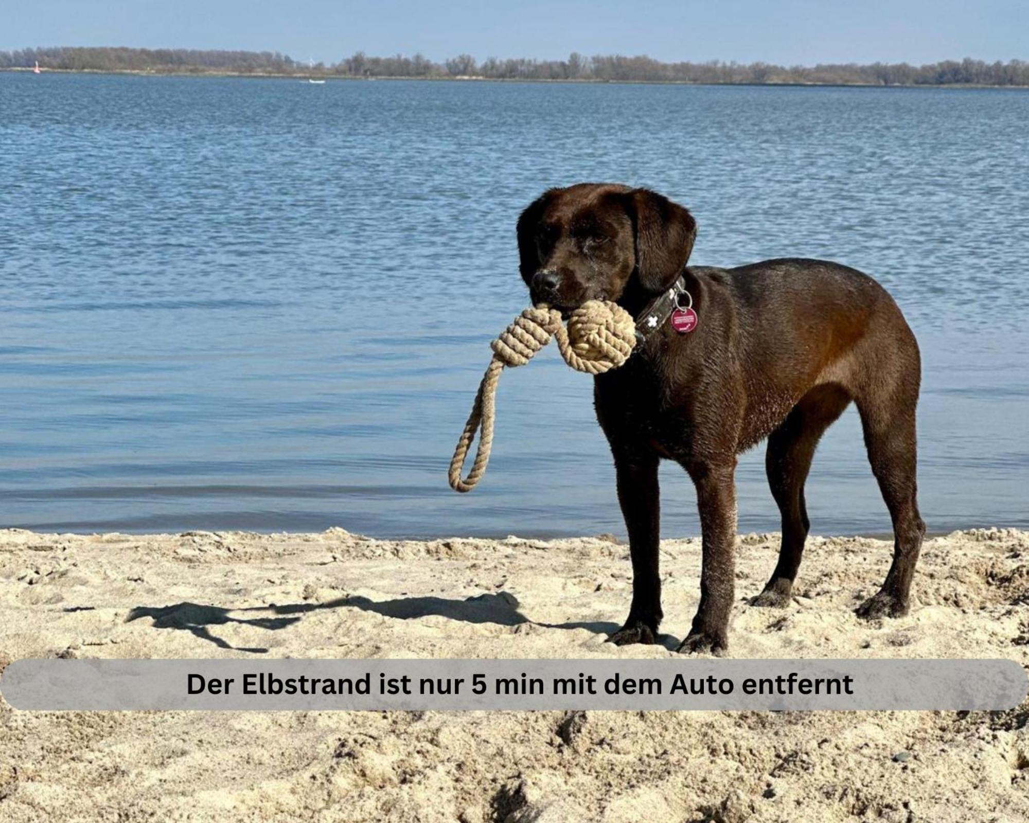 Lodge Of Africa - Einzigartige Themenzimmer, Eingezaeunten Garten, Sauna, Whirlpool & Kamin, Hunde Willkommen, Gasgrill, Voll Ausgestattete Kueche, Grosser Essbereich, Hamburg & Stade In Der Naehe Twielenfleth المظهر الخارجي الصورة
