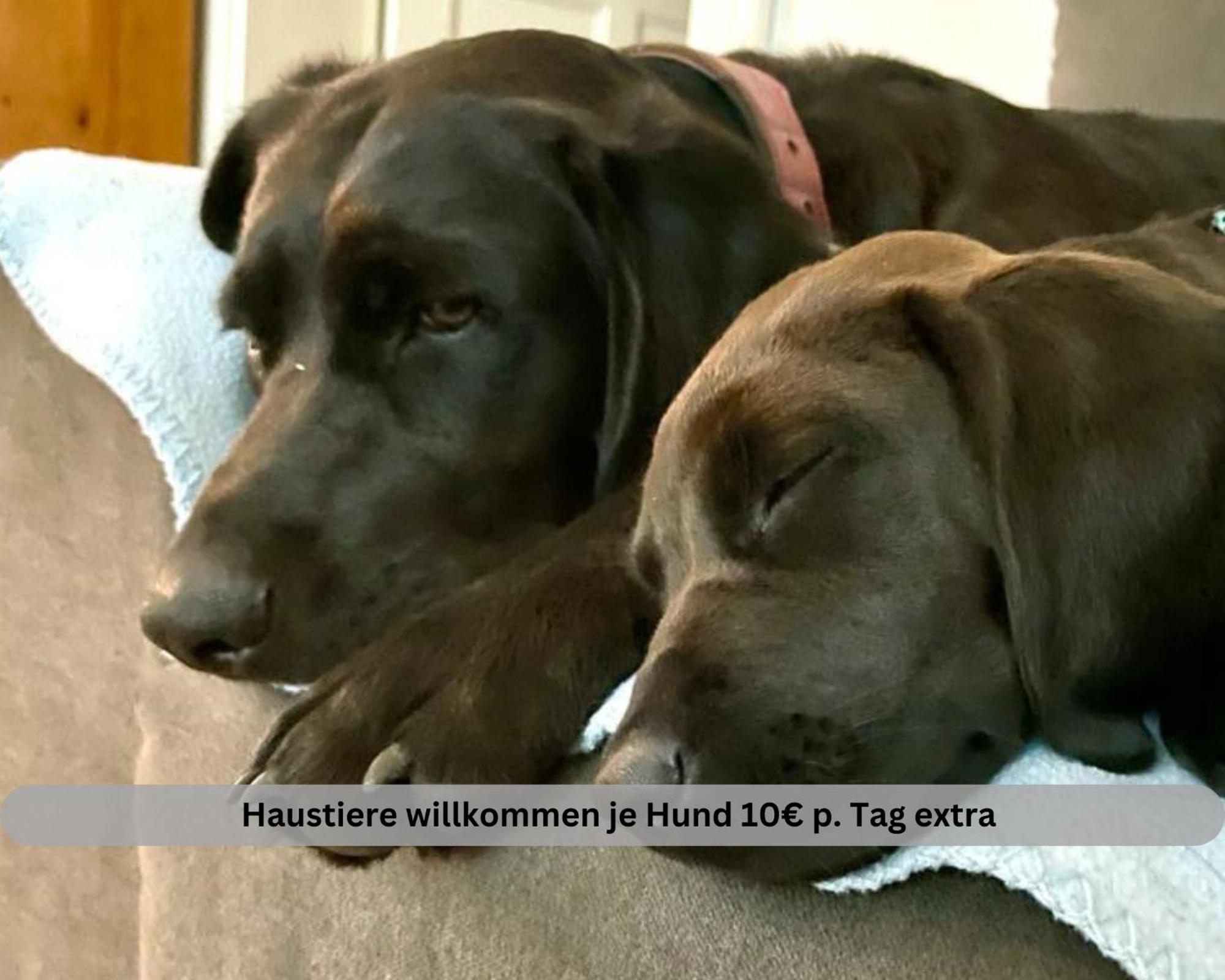 Lodge Of Africa - Einzigartige Themenzimmer, Eingezaeunten Garten, Sauna, Whirlpool & Kamin, Hunde Willkommen, Gasgrill, Voll Ausgestattete Kueche, Grosser Essbereich, Hamburg & Stade In Der Naehe Twielenfleth المظهر الخارجي الصورة