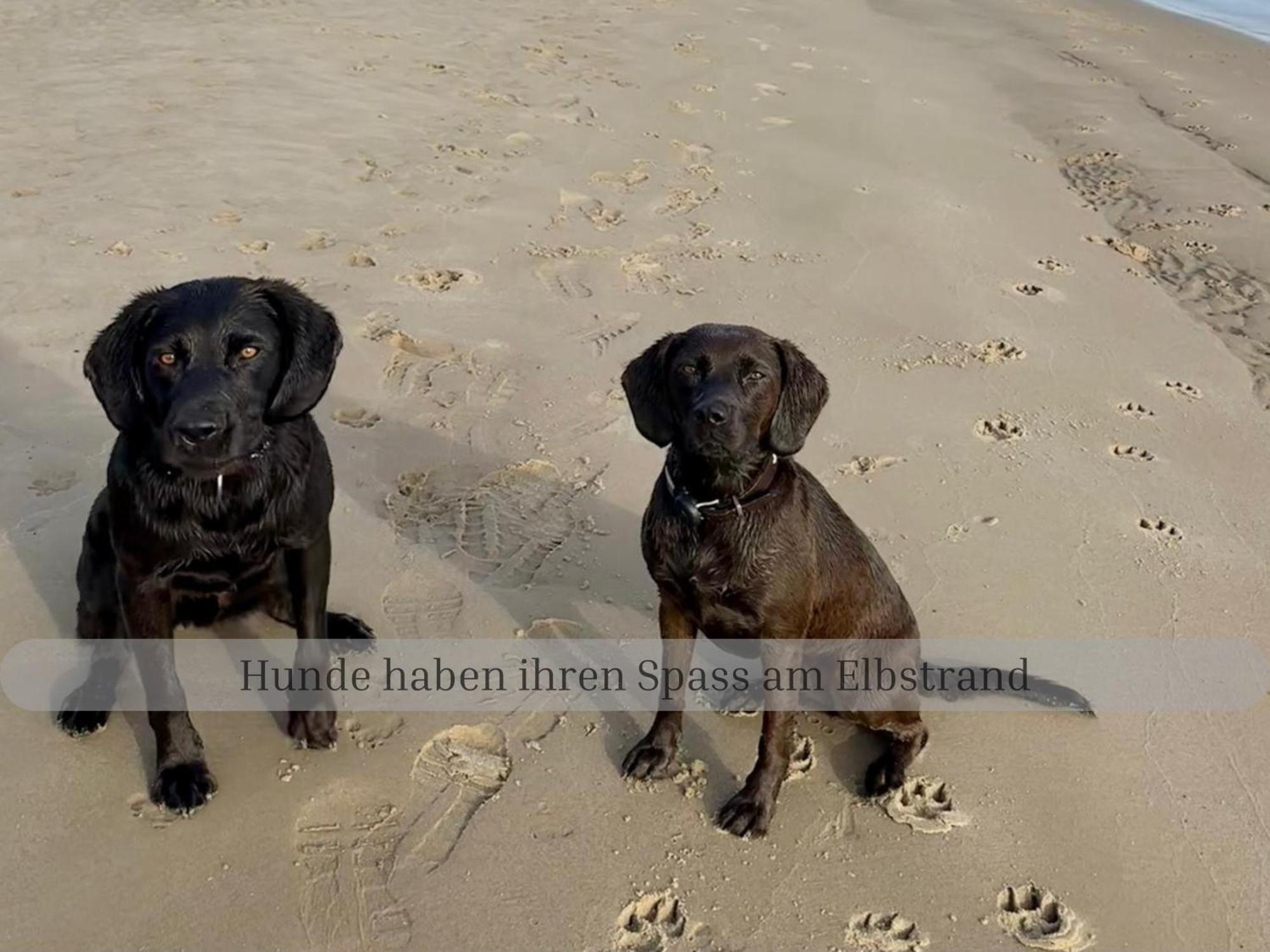 Lodge Of Africa - Einzigartige Themenzimmer, Eingezaeunten Garten, Sauna, Whirlpool & Kamin, Hunde Willkommen, Gasgrill, Voll Ausgestattete Kueche, Grosser Essbereich, Hamburg & Stade In Der Naehe Twielenfleth المظهر الخارجي الصورة